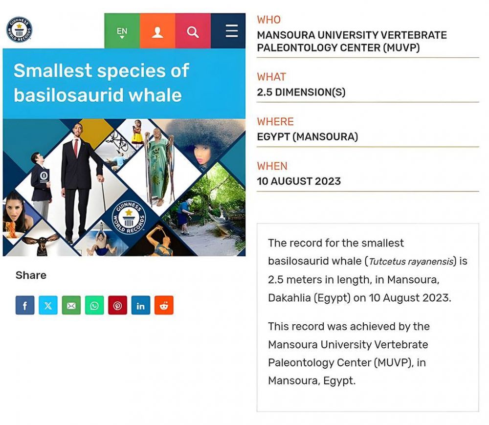 Le Centre de Paléontologie Vertébrée de l'Université de Mansoura entre dans le Guinness des Records