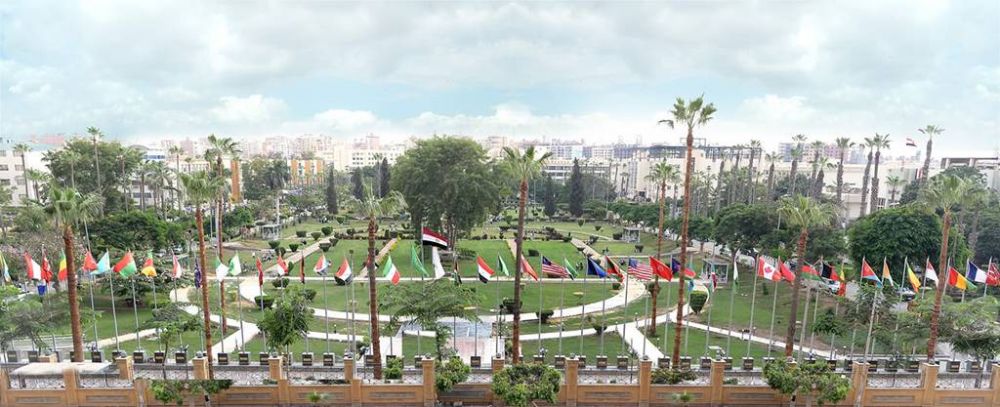 جامعة المنصورة