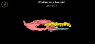 A New Global Discovery by Mansoura University's Vertebrate Paleontology Center