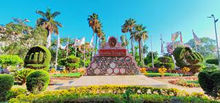 Mansoura University wins first place in the 